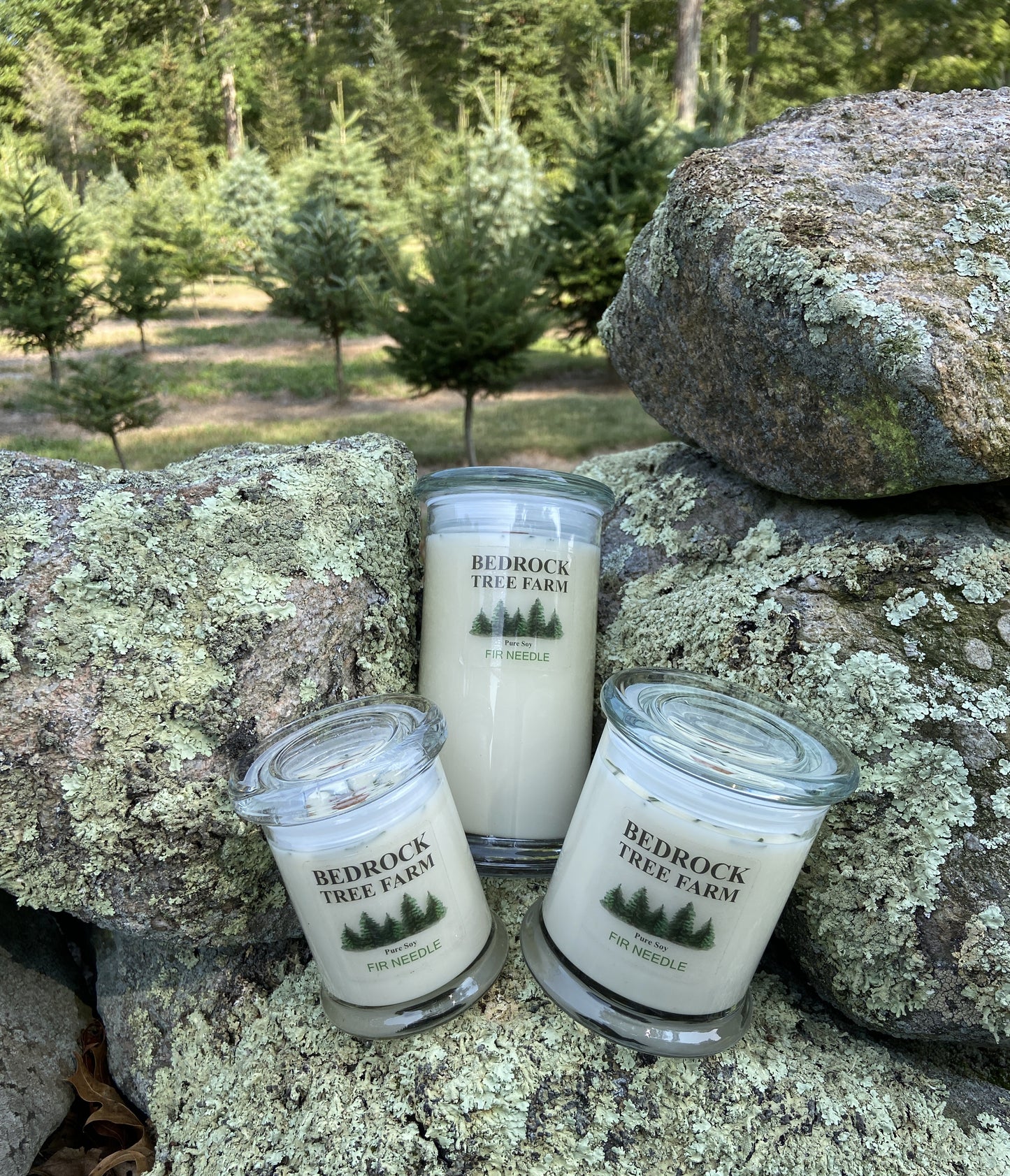 SOY CANDLE - Fir Needle Natural Libbey Status Jar 12 oz. with Wooden Wick - LSJ12N