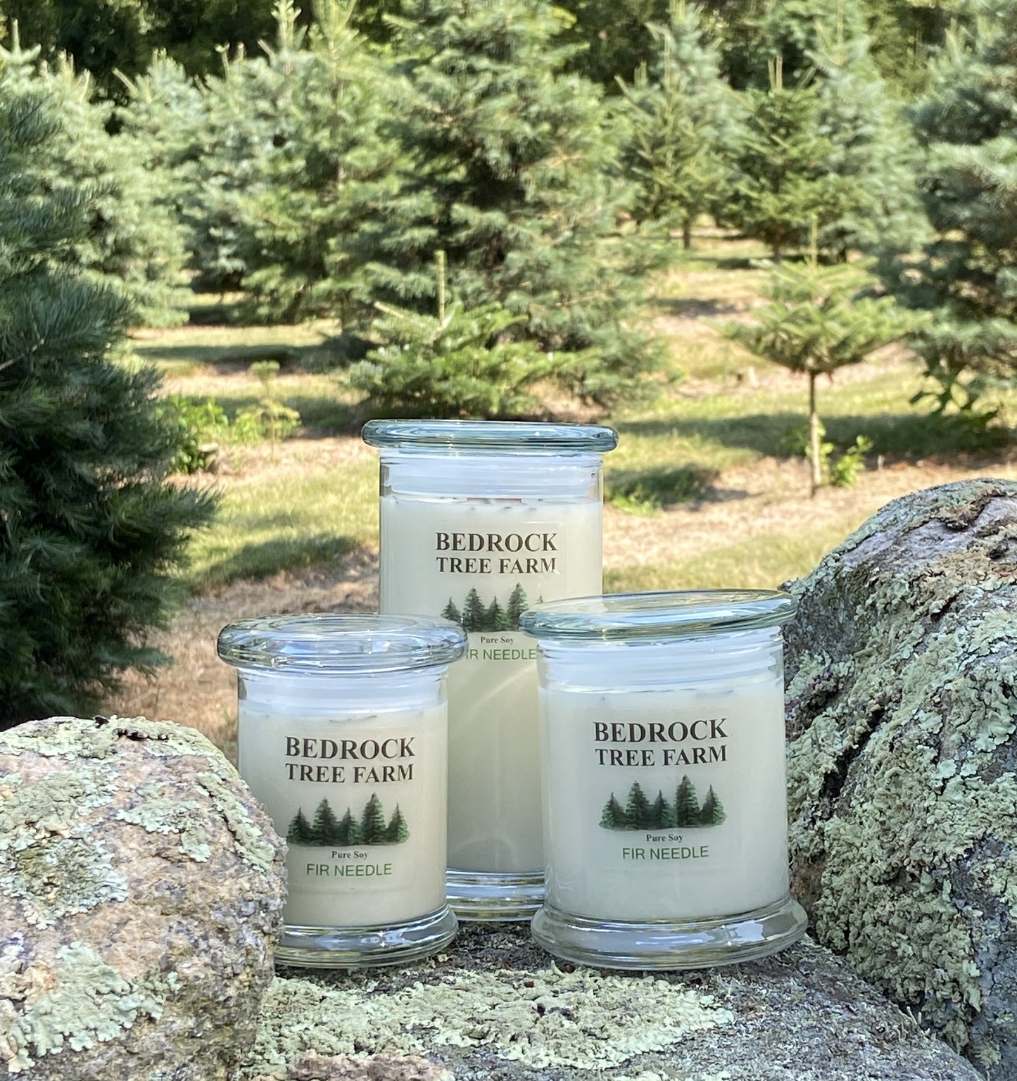 SOY CANDLE - Fir Needle Natural Libbey Status Jar 12 oz. with Wooden Wick - LSJ12N