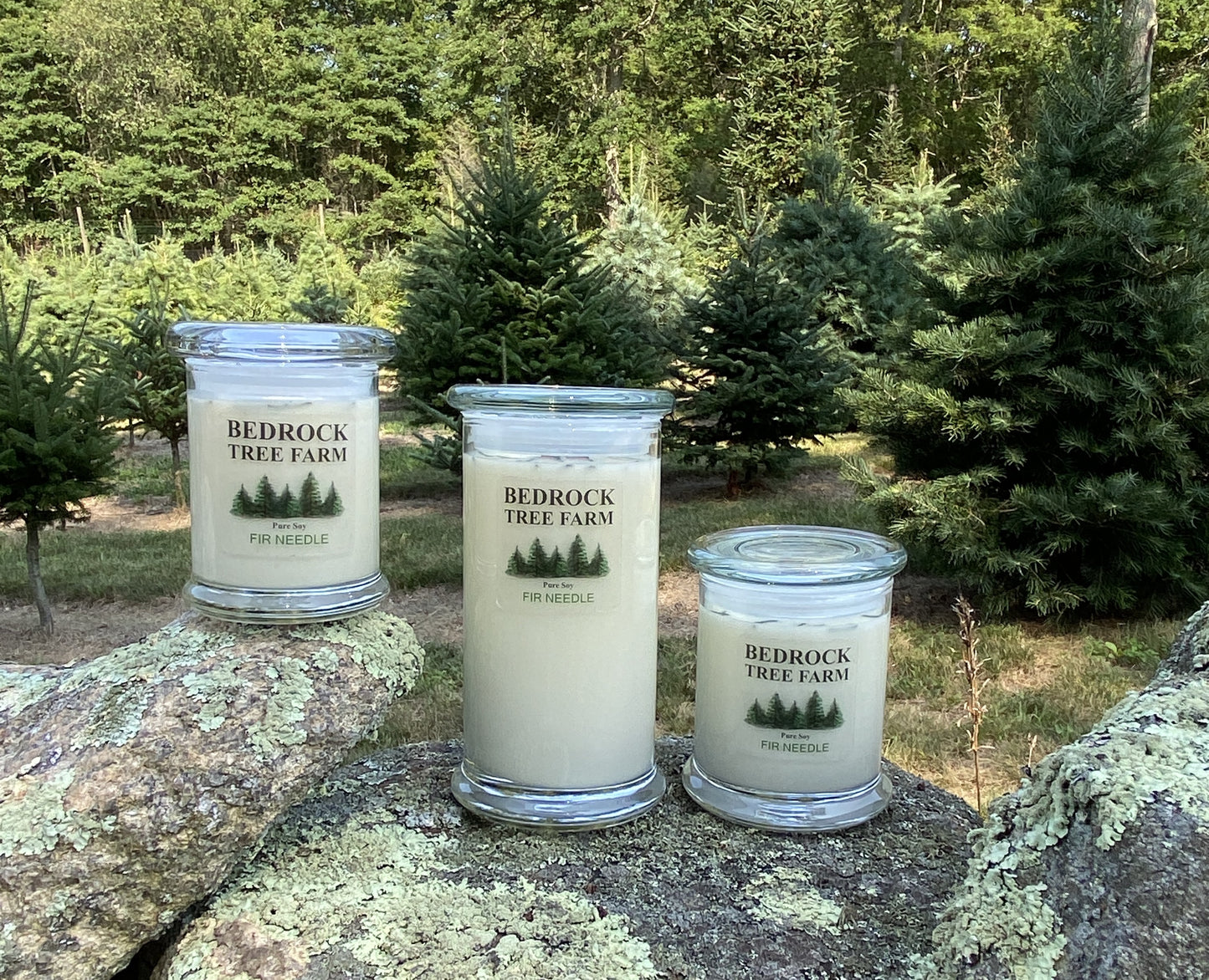 SOY CANDLE - Fir Needle Natural Libbey Status Jar 8 oz. with Wooden Wick - LSJ8N