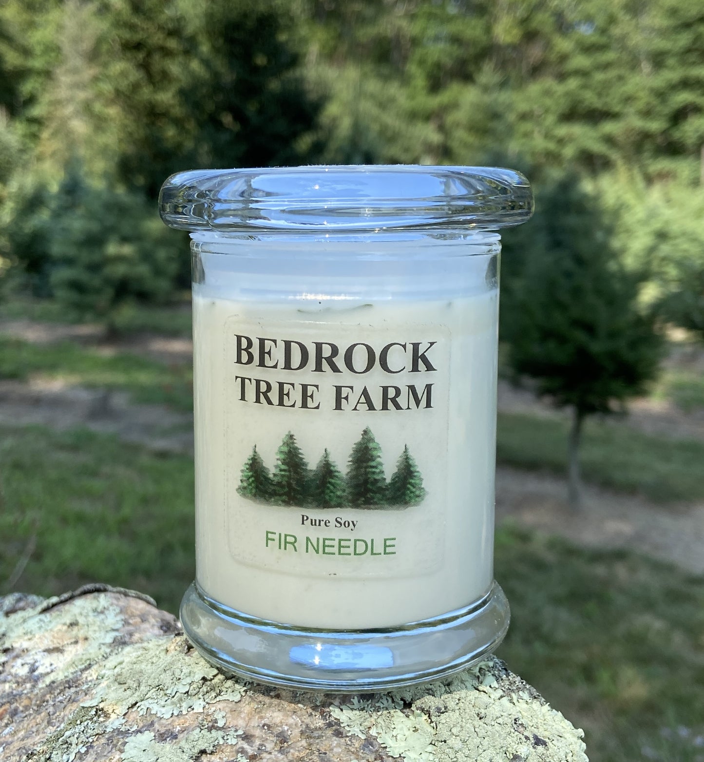 SOY CANDLE - Fir Needle Natural Libbey Status Jar 8 oz. with Wooden Wick - LSJ8N